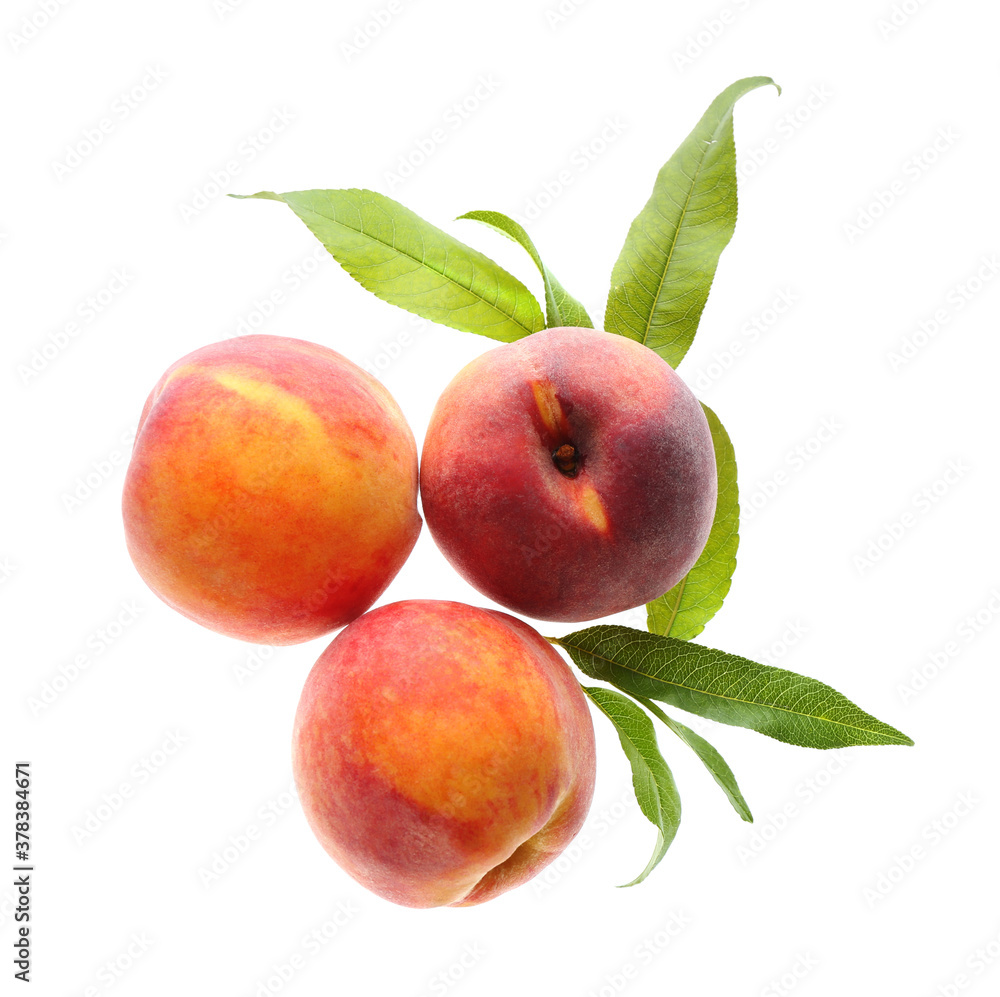 Delicious ripe juicy peaches with leaves isolated on white, top view Delicious ripe juicy peaches with leaves isolated on white, top view