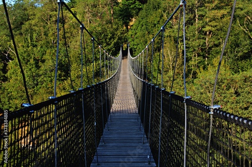 Fototapeta Naklejka Na Ścianę i Meble -  wooden suspension bridge in the forest with big trees around full of green leaves