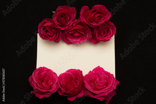 red roses and white card with a place for a congratulatory text on a black background