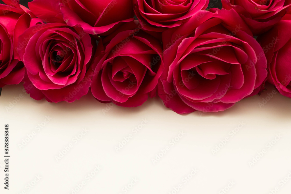 Obraz premium red roses and white card with a place for a congratulatory text on a black background