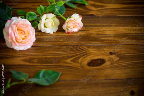 small bouquet of beautiful pink roses on a wooden table © Peredniankina