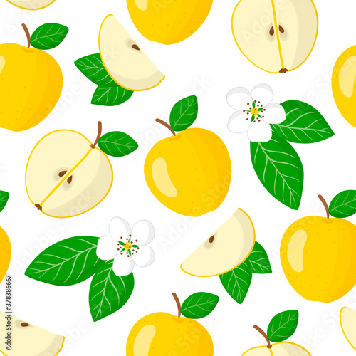 Vector cartoon seamless pattern with Malus domestica or Yellow apple exotic fruits, flowers and leaf on white background