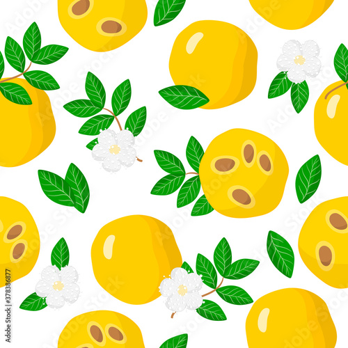 Vector cartoon seamless pattern with Eugenia stipitata or Araza exotic fruits, flowers and leafs on white background photo