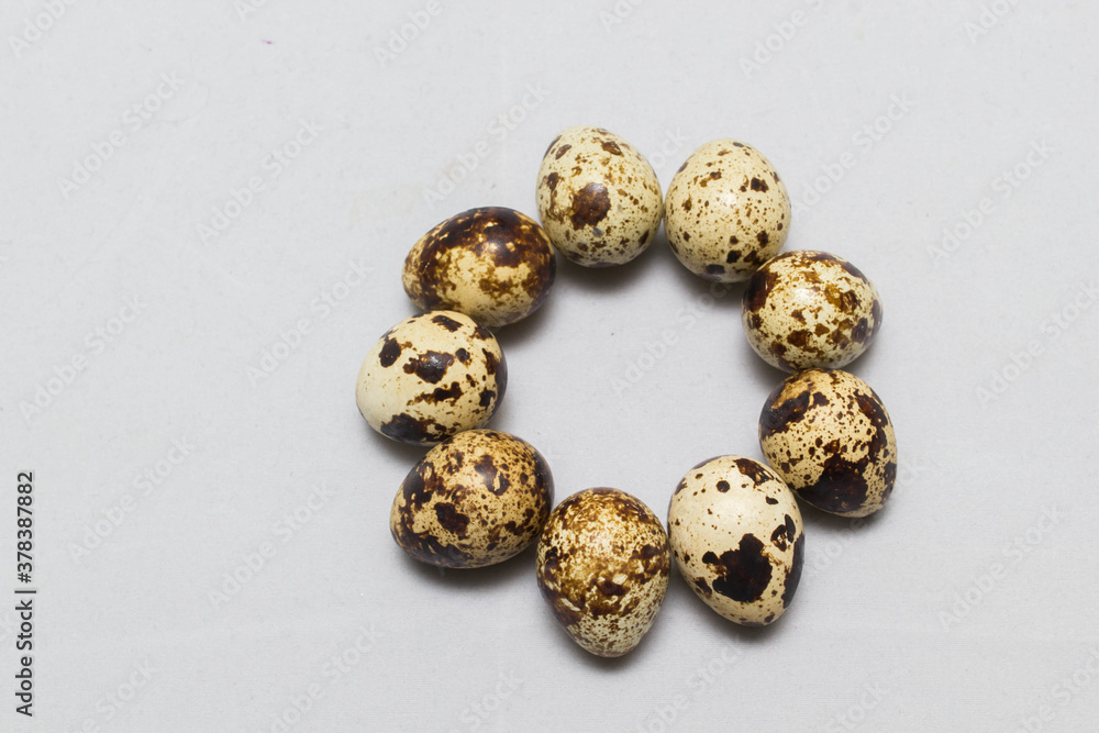 chicken eggs on the table. Farm products, natural eggs. chicken eggs on the table. Farm products, natural eggs.