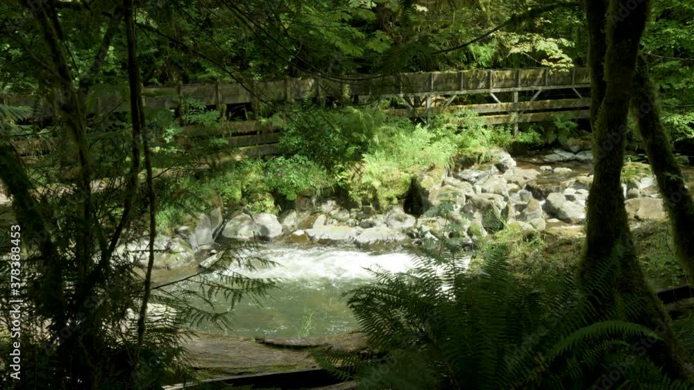 Medium shot, wooden bridge over woodland river Medium shot, wooden bridge over woodland river