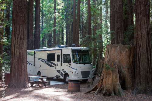 Camping in the woods between mammoth trees photo