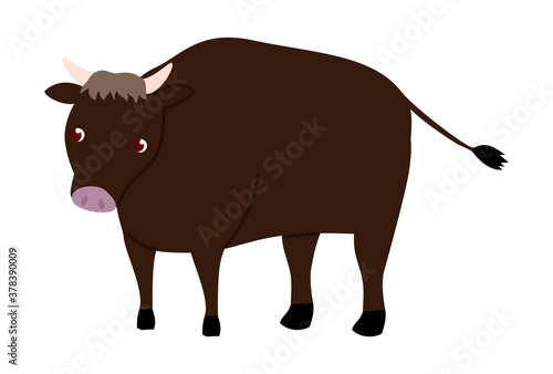 立っている黒毛和種のイラスト