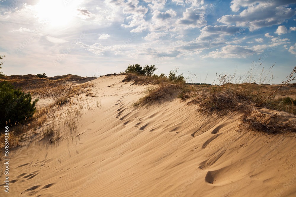 Beautiful desert landscape with dunes. Walk on a sunny day on the sands. Beautiful desert landscape with dunes. Walk on a sunny day on the sands.
