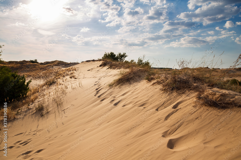 Beautiful desert landscape with dunes. Walk on a sunny day on the sands.