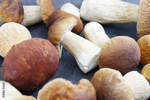 Boletus mushrooms prepared for cooking. Boletus on a black background. Boletus edulis. Closeup