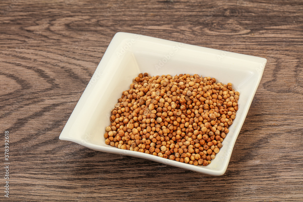 Coriander seeds in the bowl Coriander seeds in the bowl