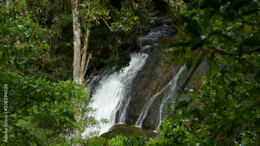 Fast tropical waterfall, in the background of the green leaves. Thick green plants revealing a view of a hidden waterfall in the Costa Rica rain forest. Fast tropical waterfall, in the background of the green leaves. Thick green plants revealing a view of a hidden waterfall in the Costa Rica rain forest.