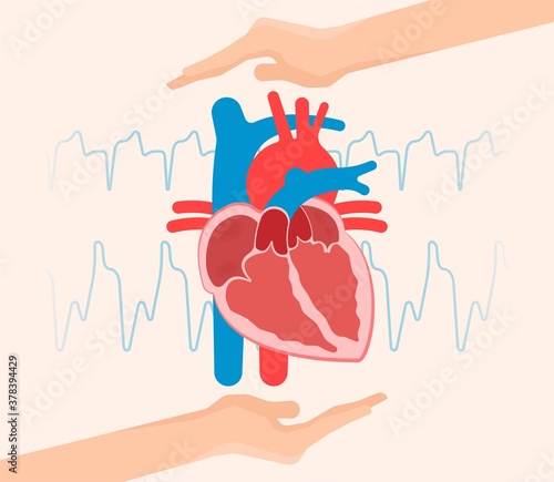 Cath Lab Atrial Septal Defect Tetralogy of Fallot Patent Foramen Ovale Mitral Valve Stenosis Heart Attack Ductus Arteriosus Doppler Coronary Artery Disease Congestive Congenital Valvular VSD exam leak