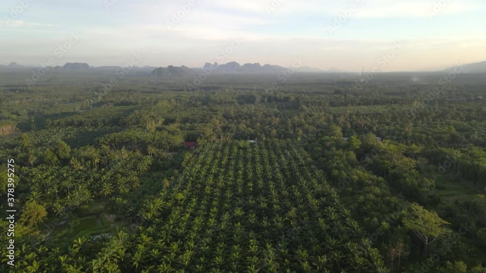 Aerial view of summer landscape bright tree Asia Thailand Aerial view of summer landscape bright tree Asia Thailand