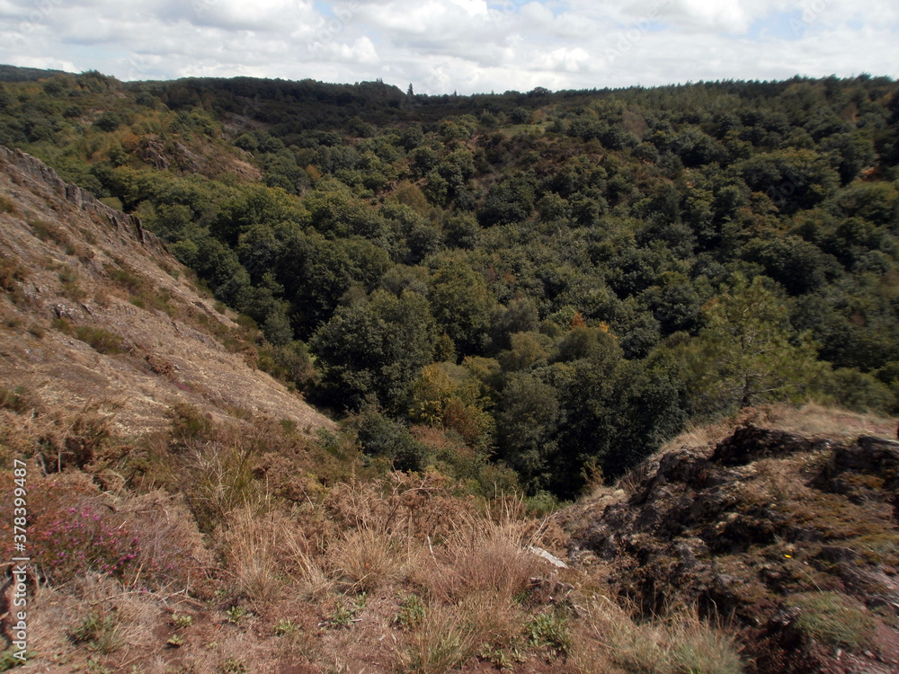 The forest of Paimpont, considered to be the mythical forest of Brocéliande. View from a hill.