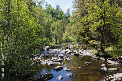 Rur river flowing through High Fens - Eifel Nature Park in spring photo