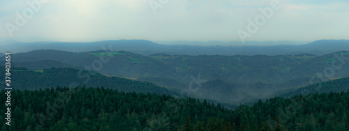 Bilde på lerret Panorama von Nebel Landschaft im Schwarzwald - Wald Banner Hintergrund , düster