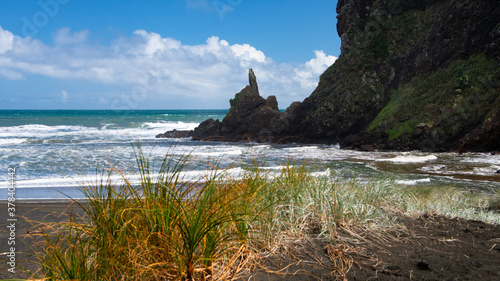 Rocks and grass on the Piga beach, Waitakere, Auckland photo