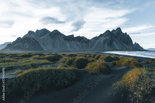 Sunny landscape of Iceland. Gorgeous view on Stokksnes cape and Vestrahorn Mountain with black sand with grass on foreground at summer. Iconic location for landscape photographers. Wonderful nature