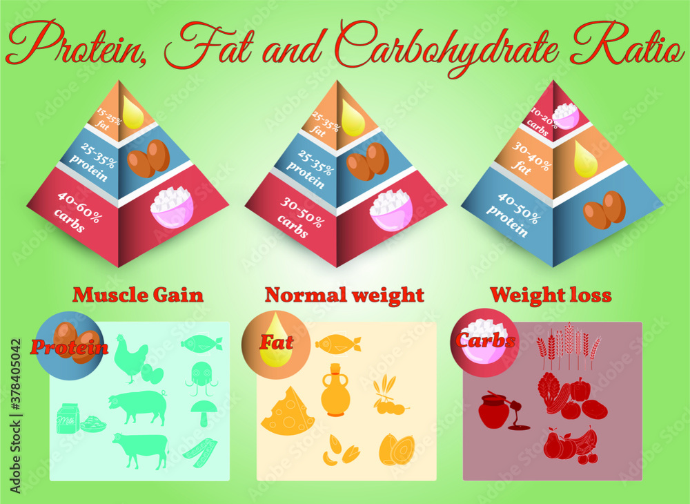 Vector Infographic:  Proper nutrition  Fat Saturated Unsaturated 