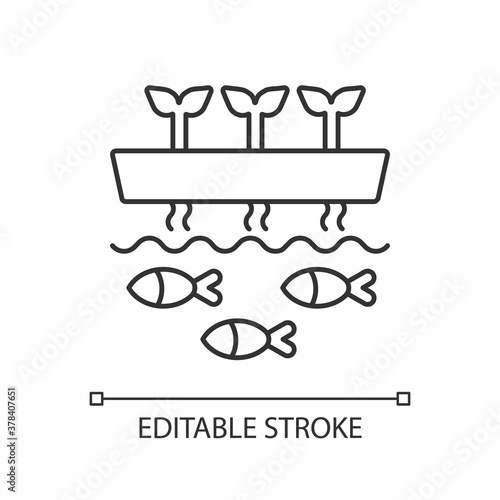 Aquaponics linear icon. Fish tank with water. Drain drip to tunk. Hydroponic production. Thin line customizable illustration. Contour symbol. Vector isolated outline drawing. Editable stroke