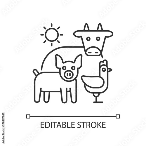 Animal husbandry linear icon. Farm livestock. Breeding cattle. Farmland production. Thin line customizable illustration. Contour symbol. Vector isolated outline drawing. Editable stroke