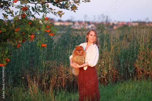 A young blonde woman in a white linen shirt holds a basket with a happy little red Pomeranian dog among meadow grasses in the open air on a summer day. rustic style.selective focus photo