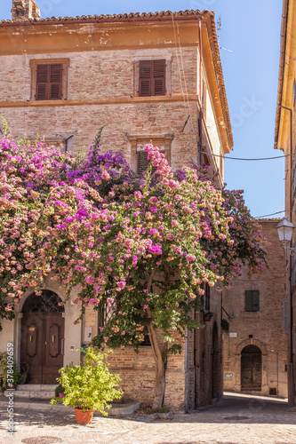 Corinaldo, medieval borg in italy
