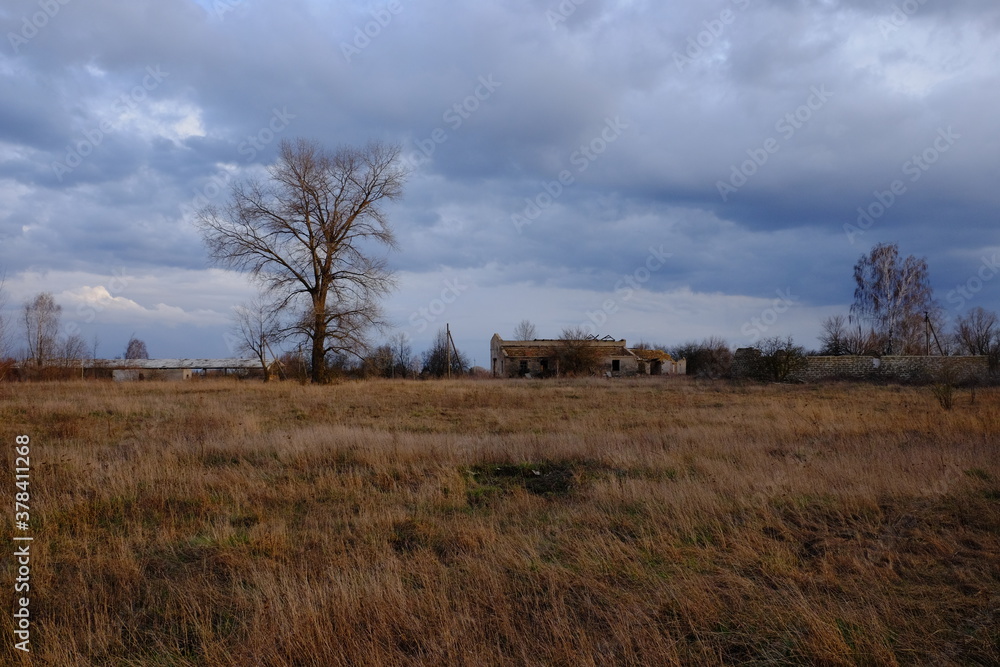 Gloomy evening landscape. A tall leafless tree near a ruined building. Dry autumn vegetation. Gloomy evening landscape. A tall leafless tree near a ruined building. Dry autumn vegetation.