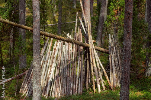 Unfinished construction of a hut in the forest