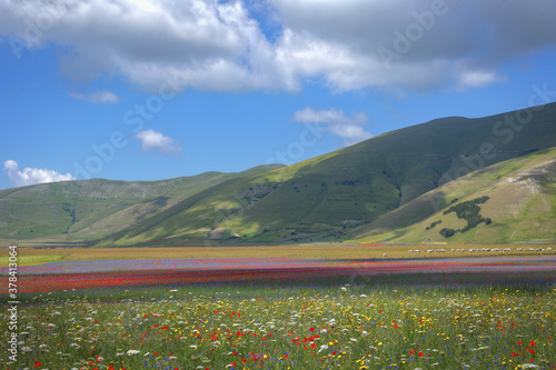 Castelluccio of norcia photo