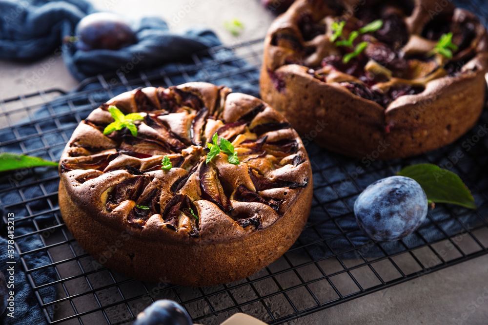 close-up view of delicious sweet fruit pies with organic plums close-up view of delicious sweet fruit pies with organic plums