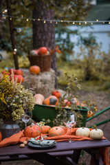 Fall themed holiday table setting arrangement for a seasonal party