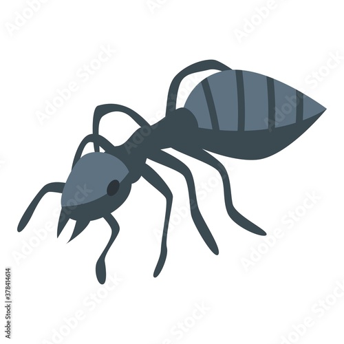 Black ant icon. Isometric of black ant vector icon for web design isolated on white background