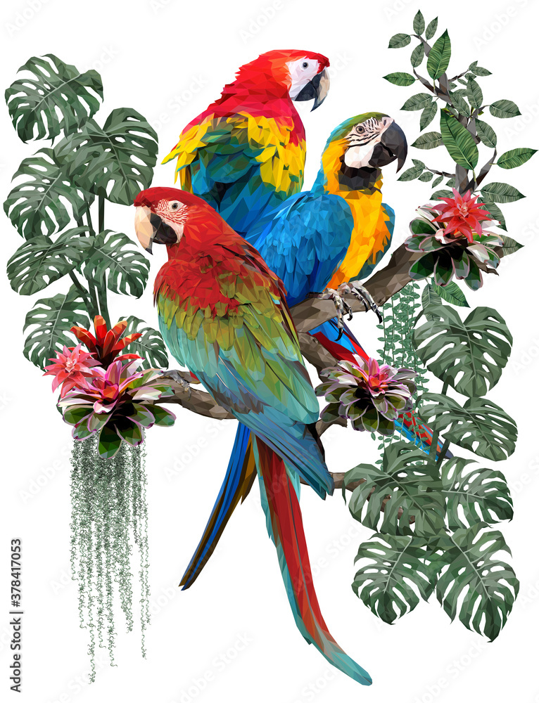 Polygonal illustration of macaw birds.