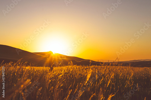 Girl with long hair spins in nature surounded by golden meadow field  and sunset above horizon in the background.