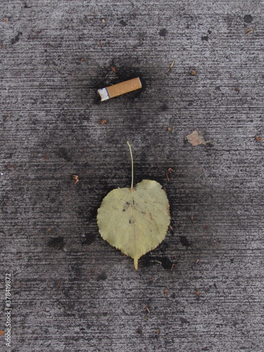 Abandoned Cigarette Stub and Leaf on Concrete Path