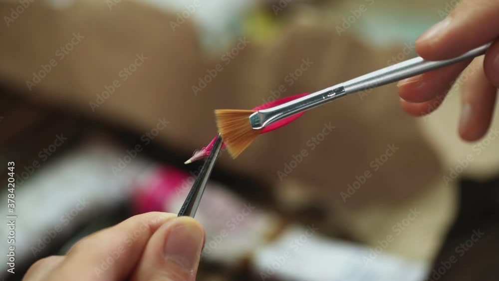 Man runs a brush over a flower petal Man runs a brush over a flower petal