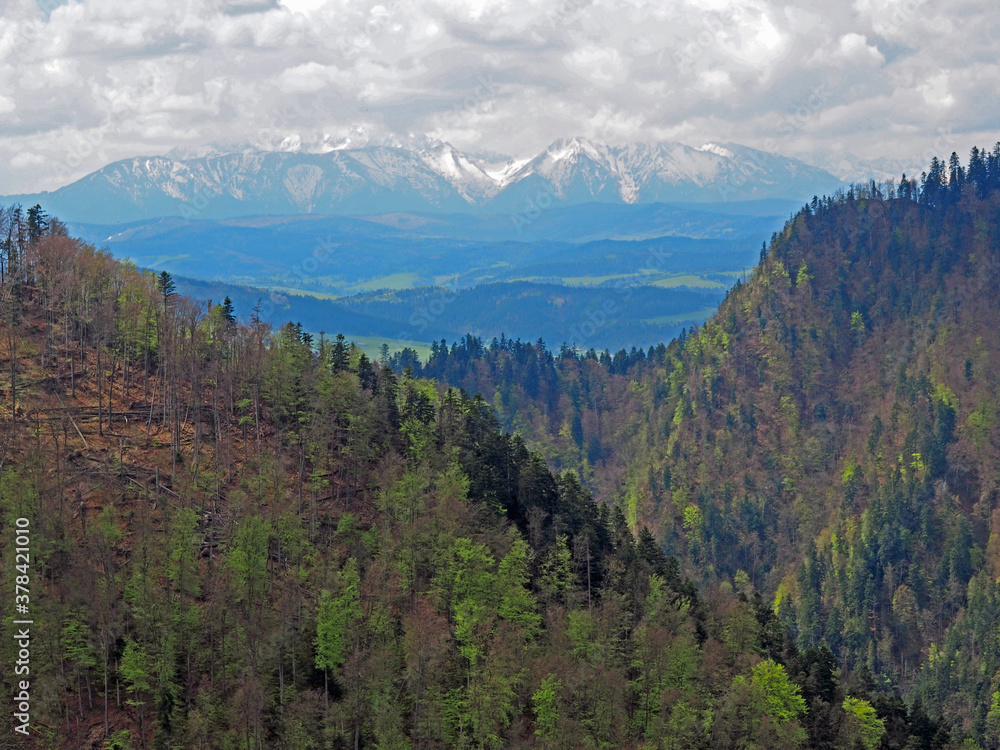 Fototapeta premium Mountain landscape