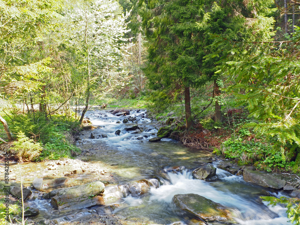 Scenic views of footpaths in Tatra mountains Scenic views of footpaths in Tatra mountains