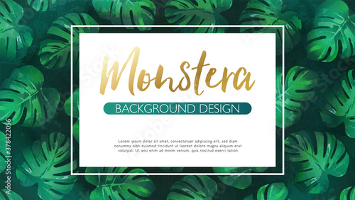 Luxury tropical leaves background with white frame. Hand drawn monstera plant vector illustration in watercolor textured