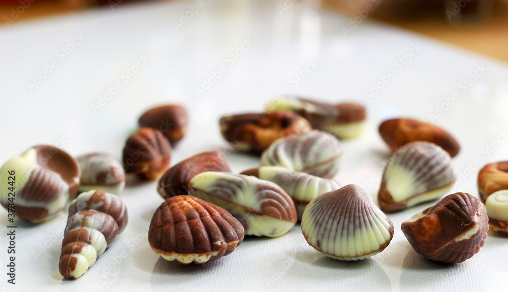 sea shell shaped assorted belgian chocolates in white background.close up macro image.