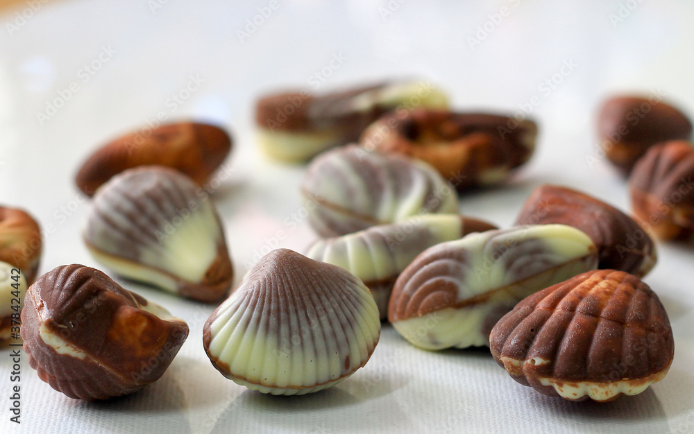 sea shell shaped assorted belgian chocolates in white backgroundsea shell shaped assorted belgian chocolates in white background.close up macro image. sea shell shaped assorted belgian chocolates in white backgroundsea shell shaped assorted belgian chocolates in white background.close up macro image.