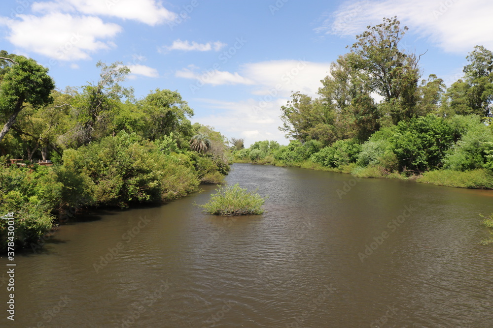 San Carlos stream bypasses the municipal park San Carlos stream bypasses the municipal park