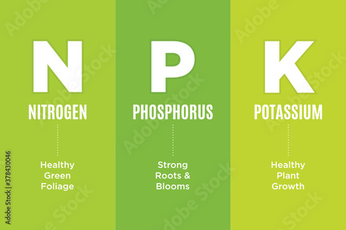 NPK, Nitrogen, Phosphorus, Potassium, Garden Fertilizer Chart, Guide, Infographic Vector Illustration