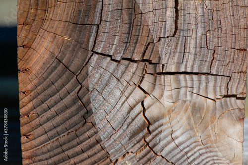 Weathered wooden post closeup, cracked, with saw blade marks showing 