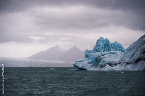 Wallpaper Mural Bird flying over an iceberg on Jokulsarlon Glacier Lagoon, Iceland. Torontodigital.ca