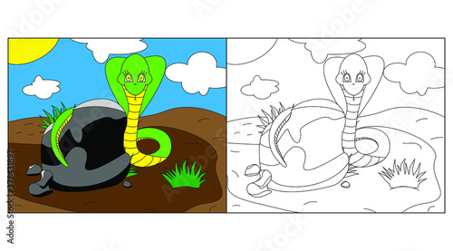 Cartoon green snake. Coloring pages and colorful character clipart. Educational game for children. Cute t-shirt design with print, badge, logo, label, patch or sticker. Vector illustration. EPS 10.
