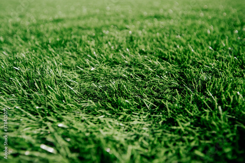 green artificial grass in the stadium