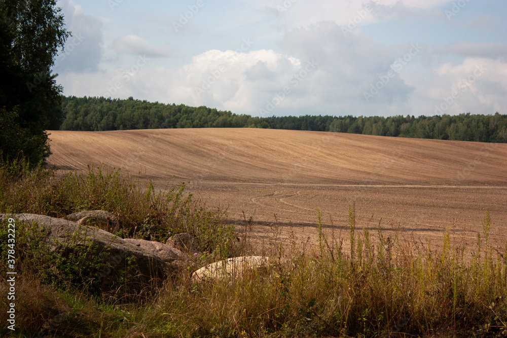 Autumn landscape. A plowed field, blue sky, forest and large stones in the long grass in the foreground.